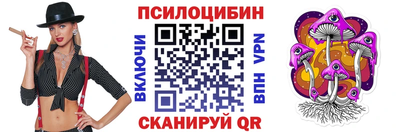Галлюциногенные грибы Cubensis  Купить закладки  Чишмы 